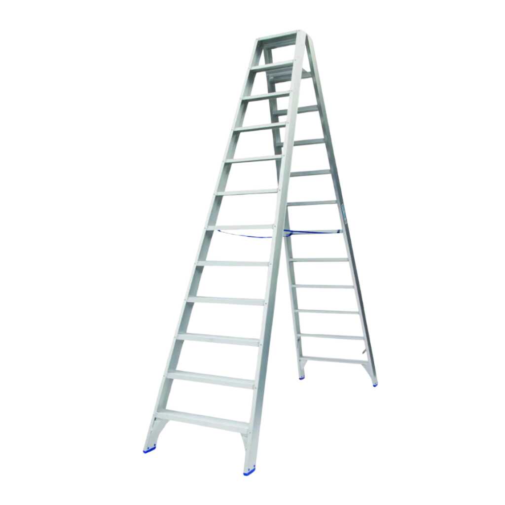 solide trapladder 2x12