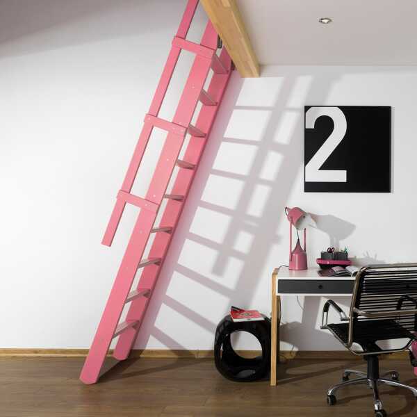 Fakro Molenaarstrap MSP Pivot - RAL 3015
