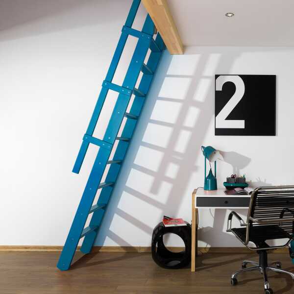 Fakro Molenaarstrap MSP Pivot - RAL 5012