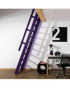 Fakro Molenaarstrap MSP Pivot - RAL 5022
