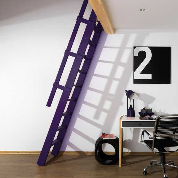 Fakro Molenaarstrap MSP Pivot - RAL 5022