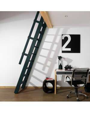 Fakro Molenaarstrap MSP Pivot - RAL 7016