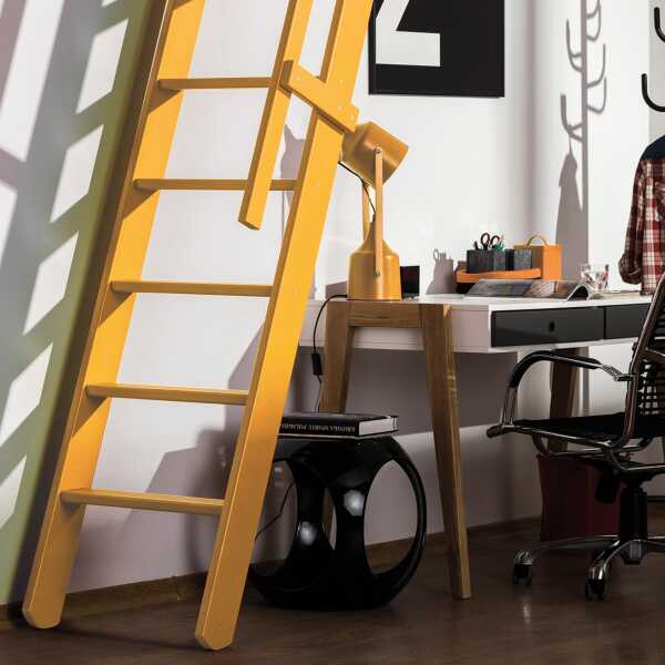 Fakro Molenaarstrap MSP Pivot - RAL 1017