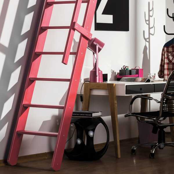 Fakro Molenaarstrap MSP Pivot - RAL 3014