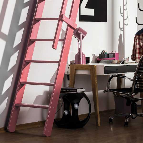 Fakro Molenaarstrap MSP Pivot - RAL 3015