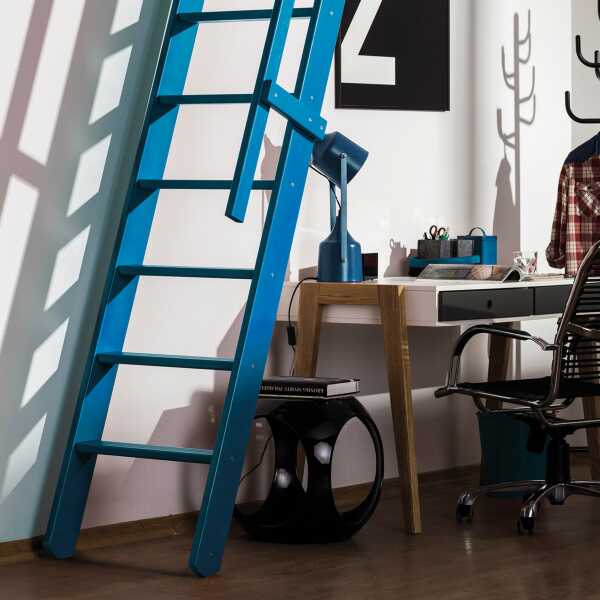 Fakro Molenaarstrap MSP Pivot - RAL 5012