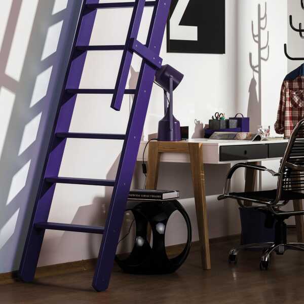Fakro Molenaarstrap MSP Pivot - RAL 5022