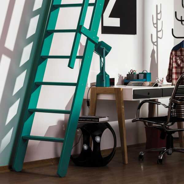 Fakro Molenaarstrap MSP Pivot - RAL 6026