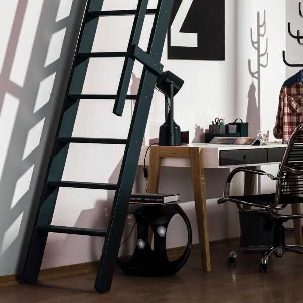 Fakro Molenaarstrap MSP Pivot - RAL 7016